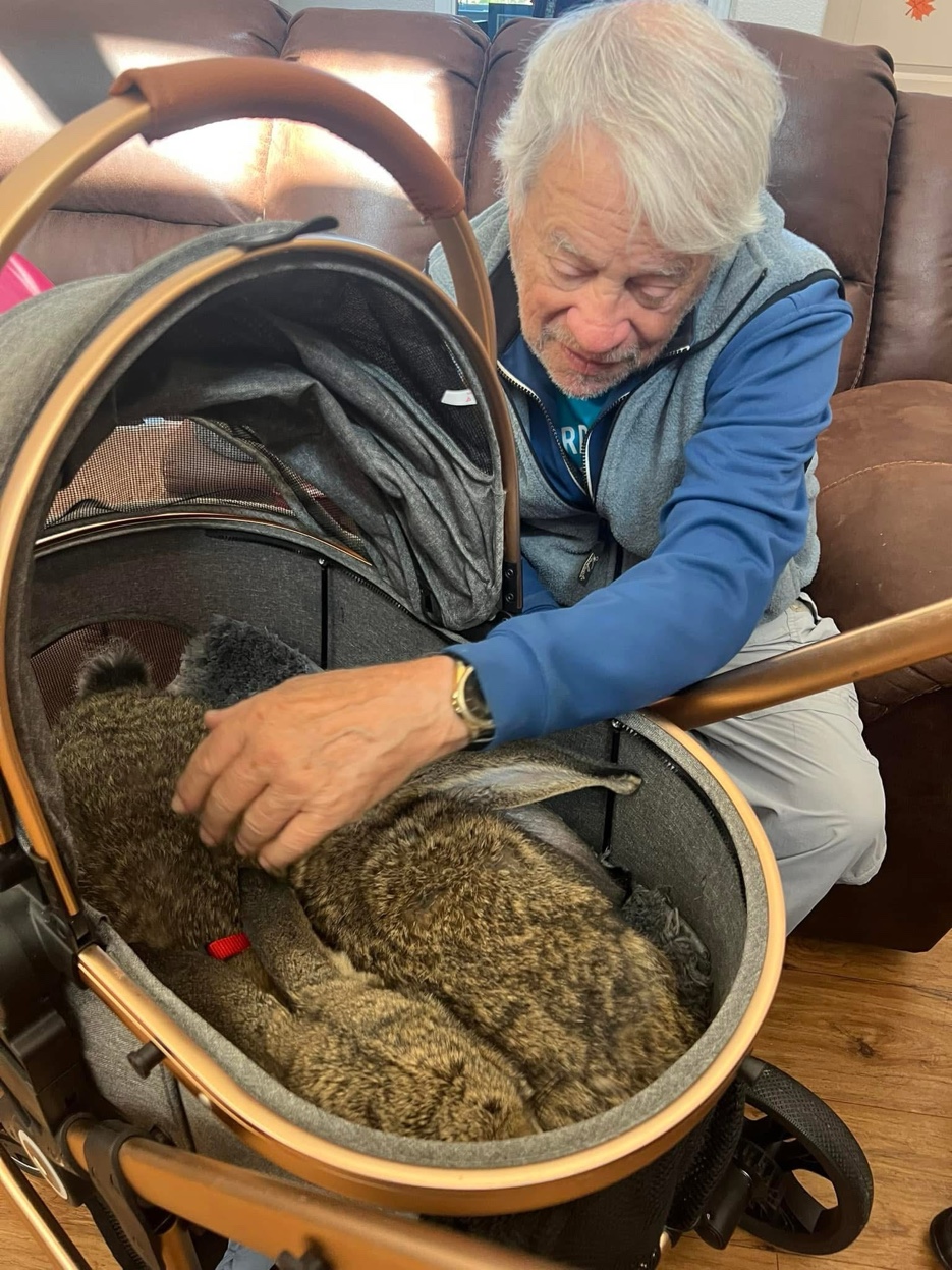 Dabbit therapy visit