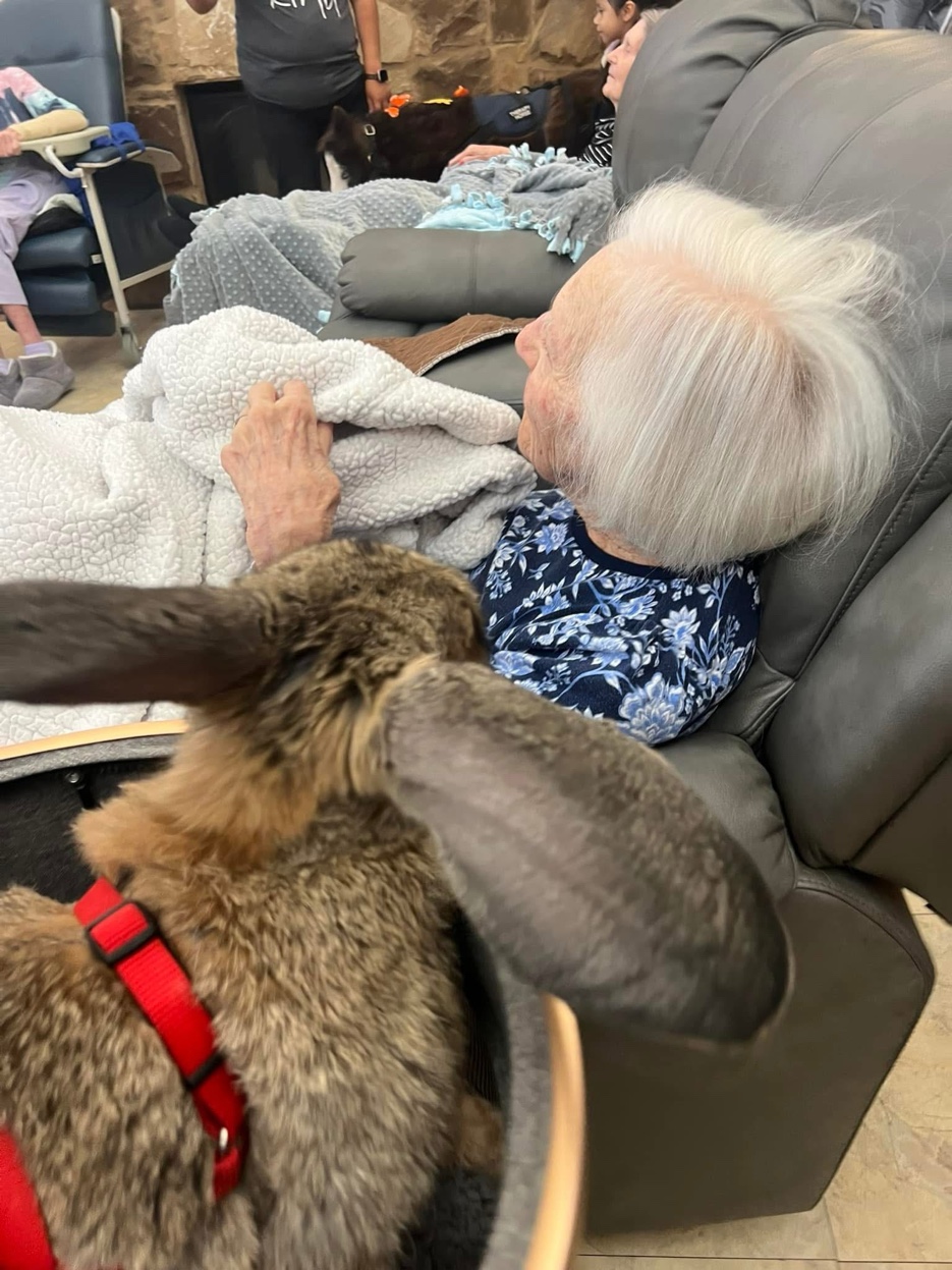 Dabbit therapy visit