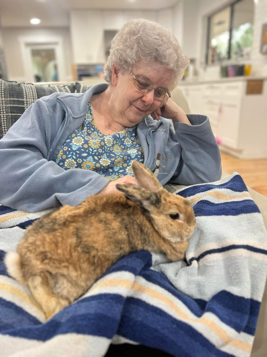 Resident gently holding a therapy bunny