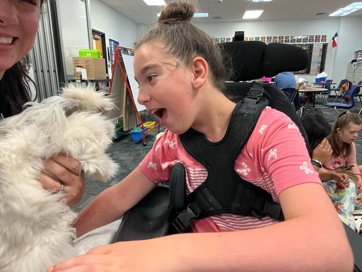 Girl in wheelchair overwhelmed with joy meeting a fluffy white bunny