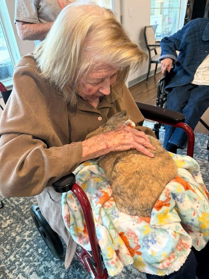 Resident tenderly holding a bunny close