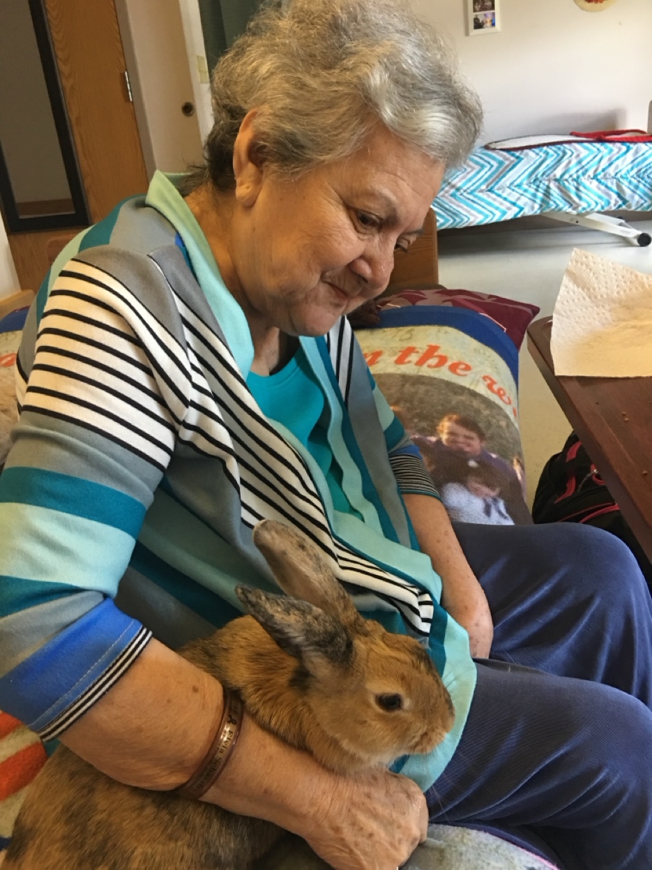 Bun Bun — the bunny who started it all